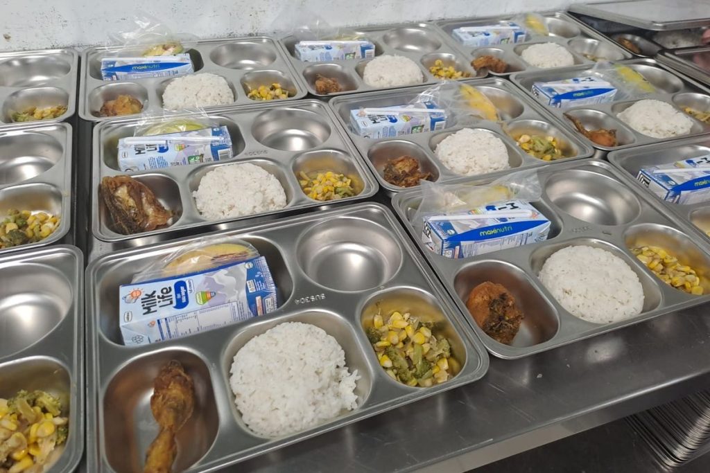 pengembangan model mbg