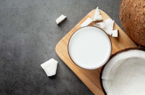 Fungsi Mesin Pemarut Santan