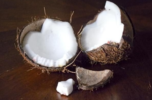 cara mengupas kelapa muda cepat