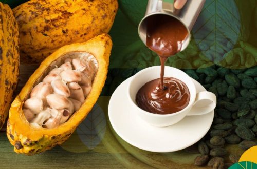 fungsi mesin pengolah coklat lengkap