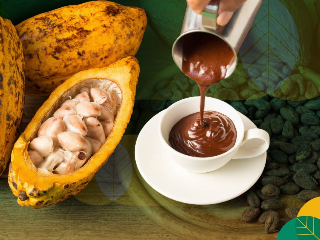 fungsi mesin pengolah coklat lengkap