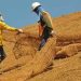 cocomesh solusi stabilisasi tanah proyek